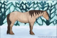 Horse Color:Amber Champagne Roan 