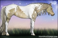 Horse Color:White Spotted Liver Red Dun Tobiano Rabicano