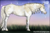 Horse Color:White Spotted Liver Red Dun Ice Pearl Splash Rabicano
