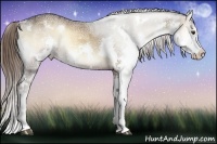 Horse Color:White Spotted Liver Red Onyx Ice Sabino Splash Rabicano 