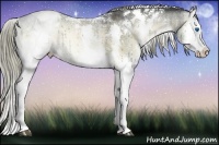 Horse Color:White Spotted Liver Red Onyx Ice Splash Tobiano Rabicano