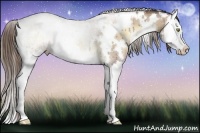 Horse Color:White Spotted Liver Red Onyx Ice Pearl Splash Rabicano 