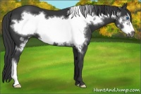 Horse Color:Black Frame 