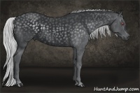 Horse Color:Silver Smoky Black Chinchilla 