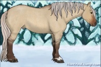 Horse Color:Silver Brown Roan Dun 