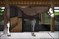 Horse Color:Liver Chestnut Sabino Splash 