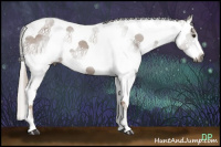 Horse Color:Gray Liver Chestnut Sabino Splash 