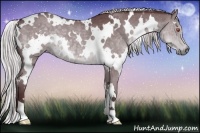 Horse Color:White Spotted Chocolate Silver Black Chinchilla