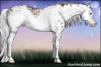 Horse Color:Chocolate Silver Black Chinchilla Sabino 