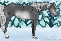 Horse Color:Silver Brown Chinchilla Ice Sabino 