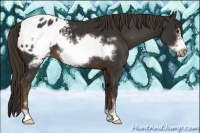 Horse Color:Liver Chestnut Sabino Frame Blanket 