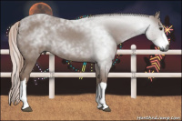Horse Color:Gray Chestnut 