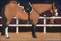 Horse Color:Bay Roan 