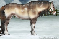 Horse Color:Plaid Liver Red Onyx Sabino Rabicano
