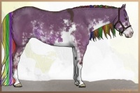 Horse Color:Painted Liver Red Dun Sabino