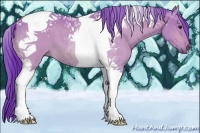 Horse Color:Watercolor Bay Roan Tobiano
