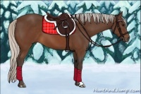 Horse Color:Silver Brown 