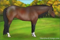 Horse Color:Brown 