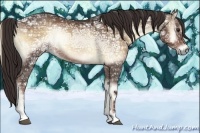 Horse Color:Liver Red Onyx Ice 