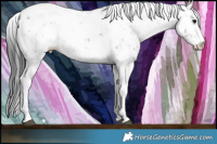 Horse Color:Black Sabino 