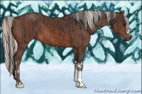 Horse Color:Brown and Silver Brown