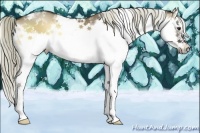 Horse Color:White Spotted Liver Red Dun Onyx Sabino Splash Frame