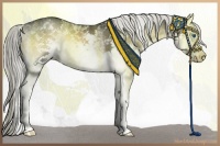 Horse Color:White Spotted Liver Red Onyx Sabino Splash 