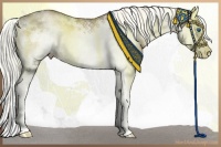 Horse Color:White Spotted Liver Red Onyx Pearl Sabino Splash Frame