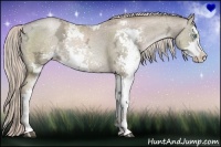 Horse Color:Chocolate Palomino Ice Pearl Sabino