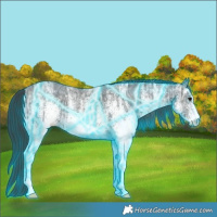 Horse Color:Thunderstruck White Spotted Black Ice 