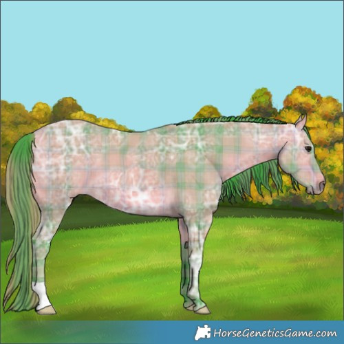 Horse Color:Watercolor Plaid  Buckskin Ice 
