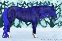 Horse Color:Watercolor Black Ice 