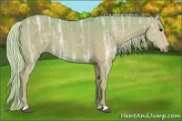 Horse Color:Watercolor Silver Black Ice 