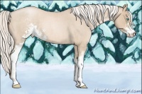 Horse Color:Silver Buckskin Roan Pearl Sabino 