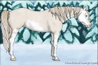 Horse Color:Smoky Creme Roan Sabino Splash