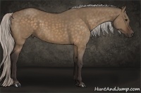 Horse Color:Silver Brown Dun