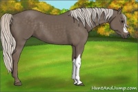 Horse Color:Silver Black 