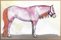 Horse Color:Watercolor White Spotted Liver Red Onyx Pearl Rabicano