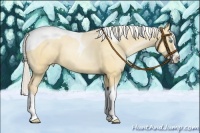 Horse Color:Silver Amber Champagne Pearl Dun Splash Tobiano