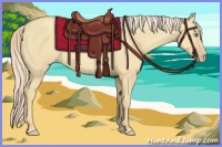Horse Color:Gold Cream Champagne Dun 