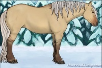 Horse Color:Silver Bay Dun