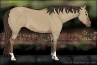 Horse Color:Liver Red Dun 