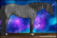 Horse Color:Blue Roan 