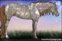 Horse Color:White Spotted Liver Chestnut Ice Pearl Sabino