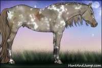 Horse Color:White Spotted Liver Red Dun Ice 