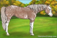 Horse Color:Silver Bay Ice Roan Splash 