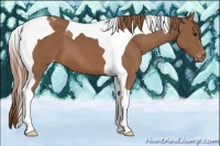 Horse Color:Chestnut Tobiano Varnish 