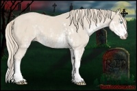 Horse Color:Smoky Creme Sabino  and Smoky Creme Sabino 