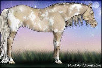 Horse Color:White Spotted Liver Chestnut Ice Pearl 