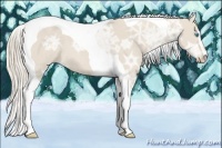 Horse Color:Smoky Creme Ice Sabino Tobiano 